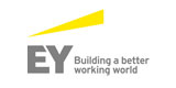 EYストラテジー・アンド・コンサルティング株式会社のロゴ
